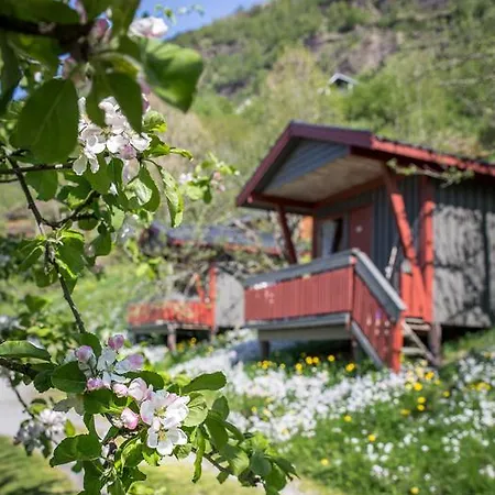 Pluscamp Sandvik Gaupne